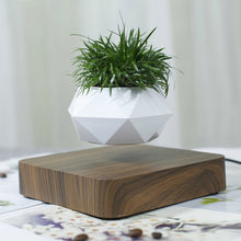 Load image into Gallery viewer, Hot Sale Levitating Air Bonsai Pot Rotation Planters Magnetic Levitation Suspension Flower Floating Pot Potted Plant Desk Decor
