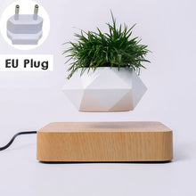 Load image into Gallery viewer, Hot Sale Levitating Air Bonsai Pot Rotation Planters Magnetic Levitation Suspension Flower Floating Pot Potted Plant Desk Decor