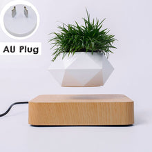Load image into Gallery viewer, Hot Sale Levitating Air Bonsai Pot Rotation Planters Magnetic Levitation Suspension Flower Floating Pot Potted Plant Desk Decor
