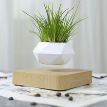 Load image into Gallery viewer, Hot Sale Levitating Air Bonsai Pot Rotation Planters Magnetic Levitation Suspension Flower Floating Pot Potted Plant Desk Decor
