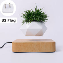 Load image into Gallery viewer, Hot Sale Levitating Air Bonsai Pot Rotation Planters Magnetic Levitation Suspension Flower Floating Pot Potted Plant Desk Decor
