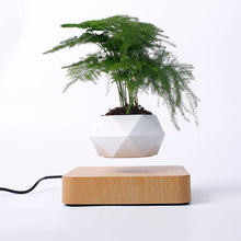 Load image into Gallery viewer, Hot Sale Levitating Air Bonsai Pot Rotation Planters Magnetic Levitation Suspension Flower Floating Pot Potted Plant Desk Decor
