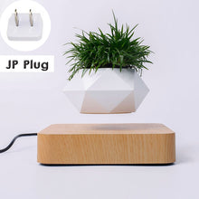 Load image into Gallery viewer, Hot Sale Levitating Air Bonsai Pot Rotation Planters Magnetic Levitation Suspension Flower Floating Pot Potted Plant Desk Decor
