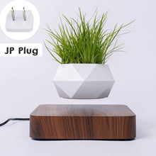 Load image into Gallery viewer, Hot Sale Levitating Air Bonsai Pot Rotation Planters Magnetic Levitation Suspension Flower Floating Pot Potted Plant Desk Decor
