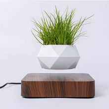 Load image into Gallery viewer, Hot Sale Levitating Air Bonsai Pot Rotation Planters Magnetic Levitation Suspension Flower Floating Pot Potted Plant Desk Decor
