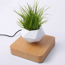 Load image into Gallery viewer, Hot Sale Levitating Air Bonsai Pot Rotation Planters Magnetic Levitation Suspension Flower Floating Pot Potted Plant Desk Decor
